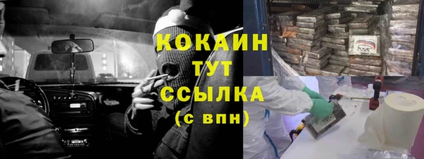винт Мегион