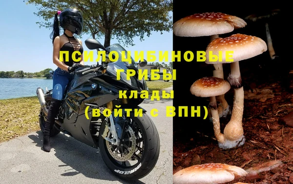 ALPHA PVP Медвежьегорск