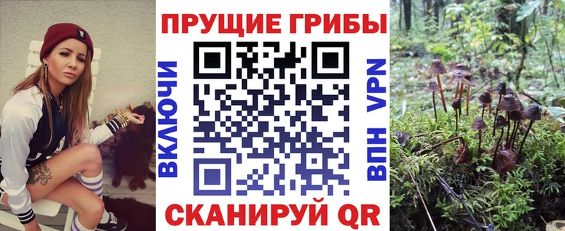 Галлюциногенные грибы Cubensis Иноземцево